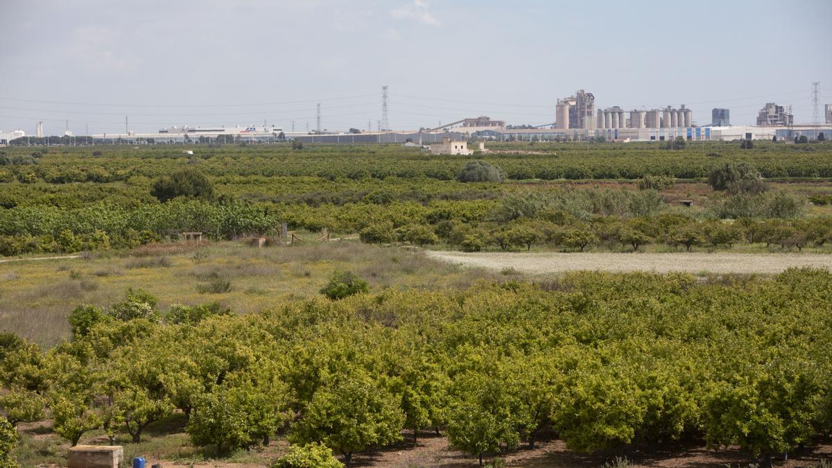 Terrenos para la gigafactoría de Volkswagen