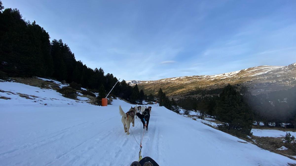 Mushing con perros en Andorra
