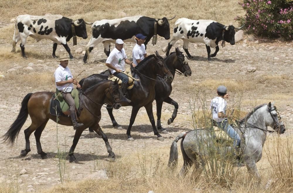 Fiestas de Sagunto. Recinto taurino.