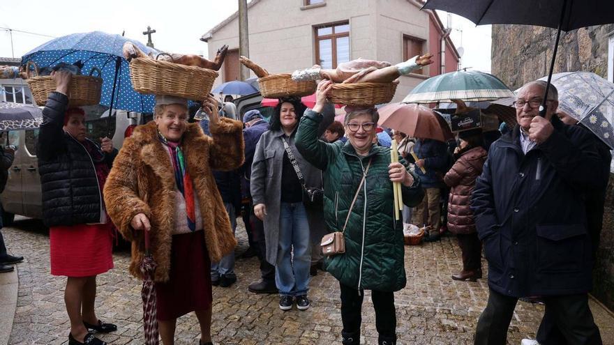 Langostas de A Guarda y lacones de Valga contra la peste