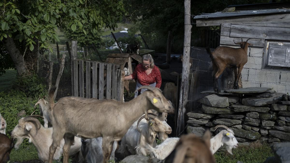 Margo Pool, con algunas de sus cuarenta cabras.