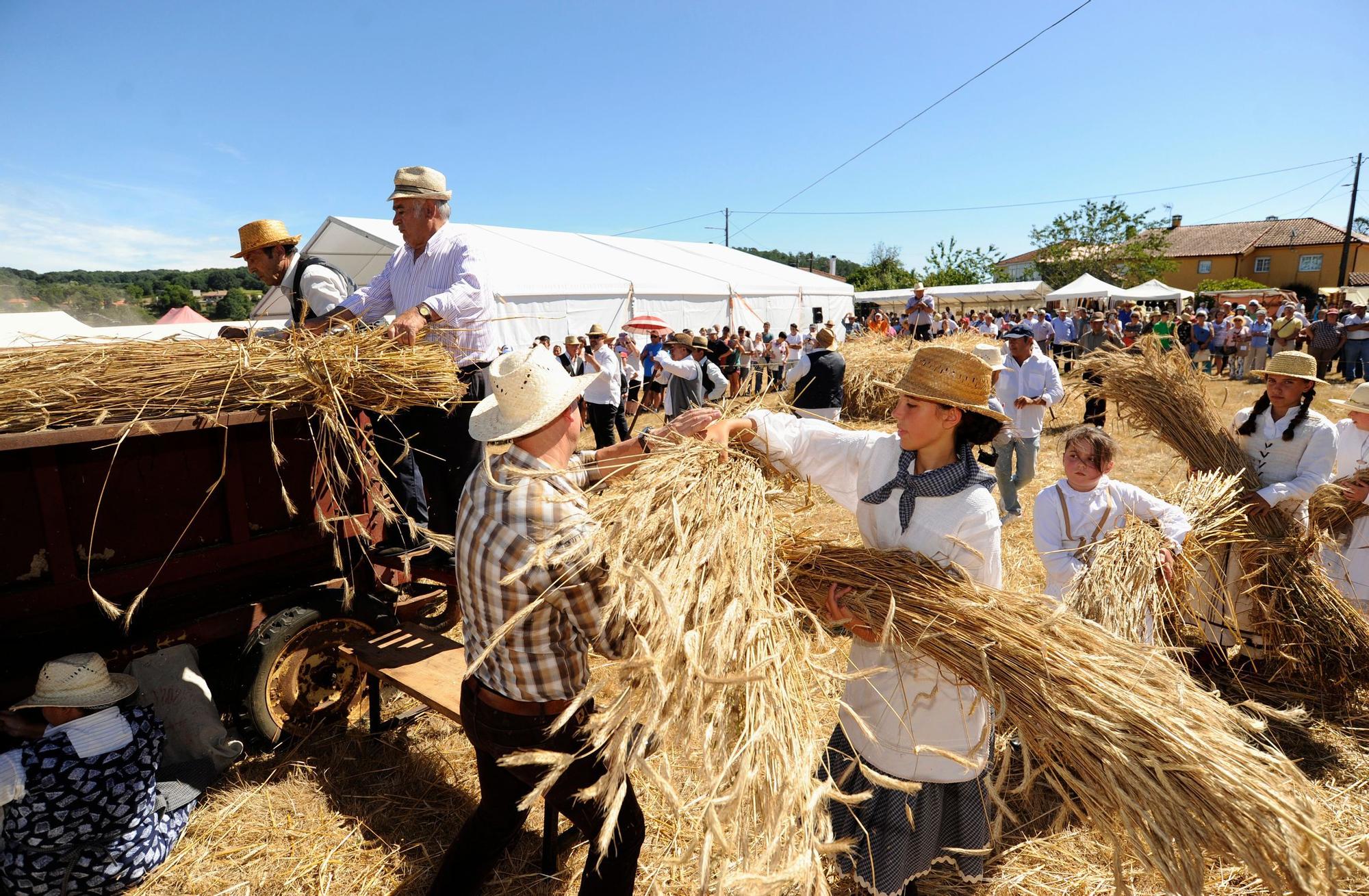 A Festa da Malla