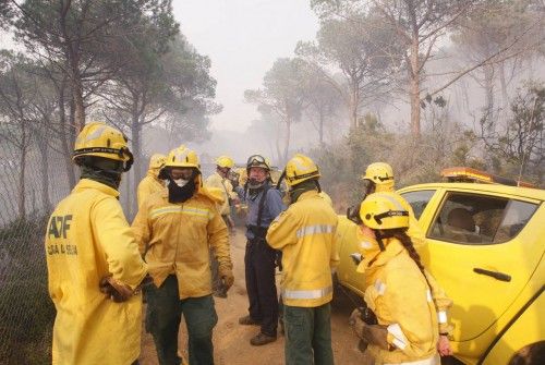 Incendi forestal a peu de les Gavarres