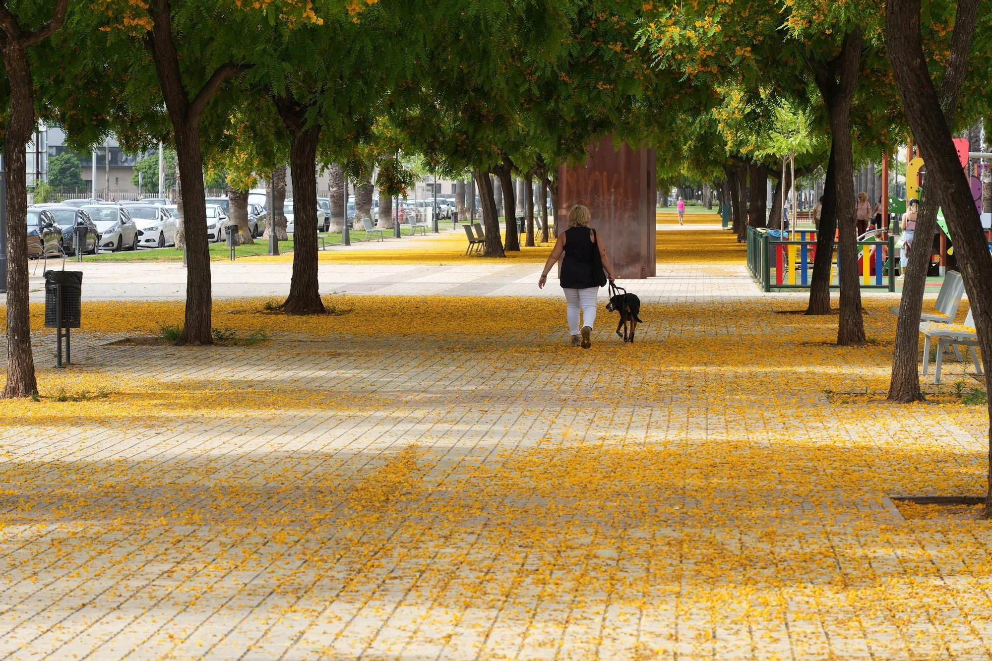 La floración tiñe las calles de Castelló