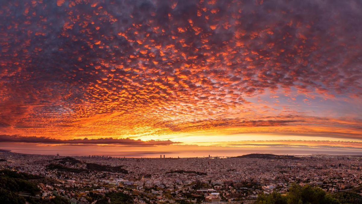 Temps de Catalunya, avui, diumenge, 20 de novembre del 2022: dia de plena tardor
