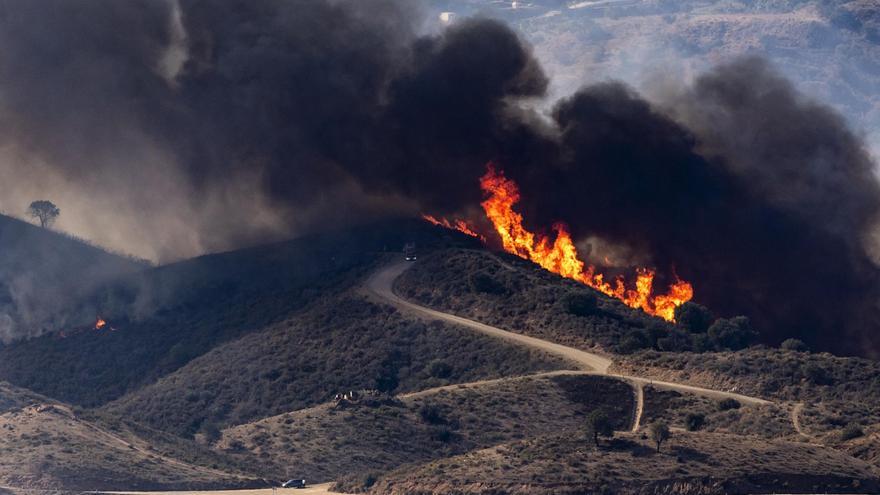 El viento complica la extinción del incendio de Mijas (Málaga), que provoca ya 300 desalojos