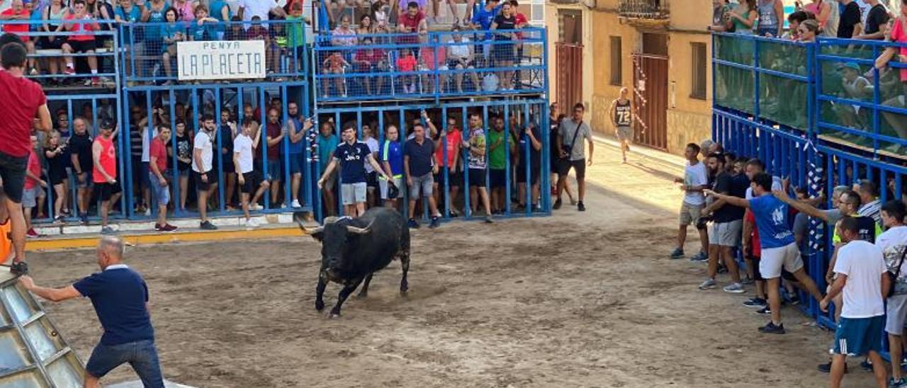 Uno de los espectáculos taurinos en Petrés. | I.C.