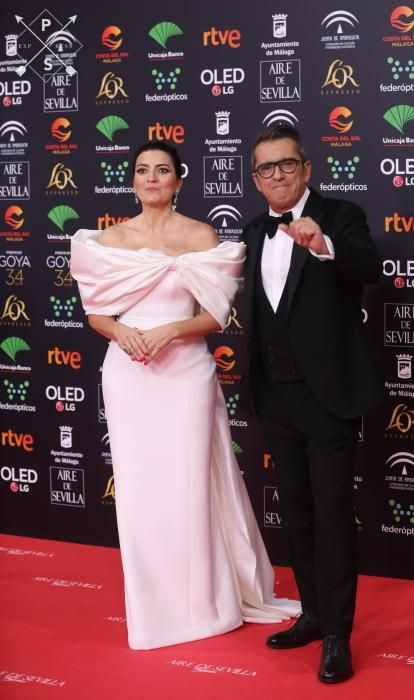 Alfombra roja de los Premios Goya 2020.