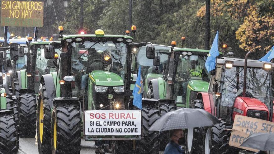 Los asociaciones agroganaderas de Asturias urgen al Gobierno regional que mueva ficha ante la deuda de 400.000 euros de “Xata Roxa”