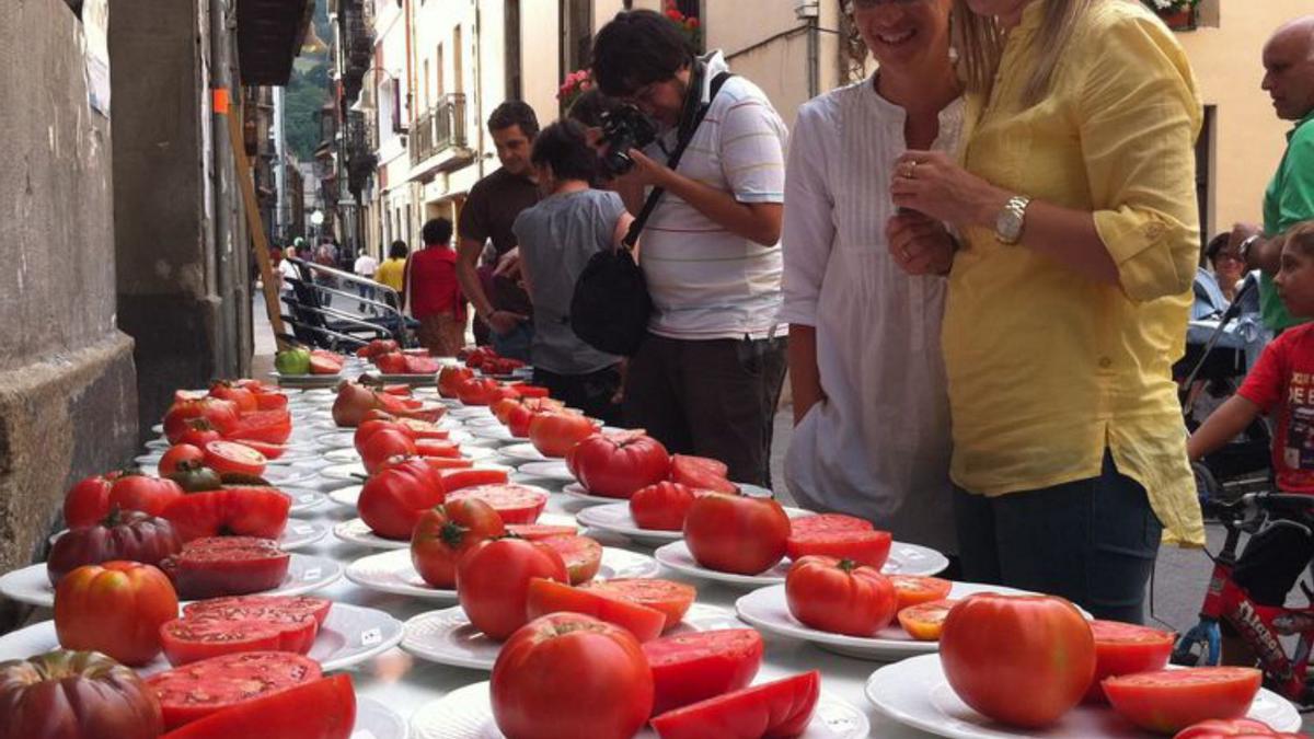 Concurso de tomates organizado por Pepe Ron, en Cangas del Narcea.