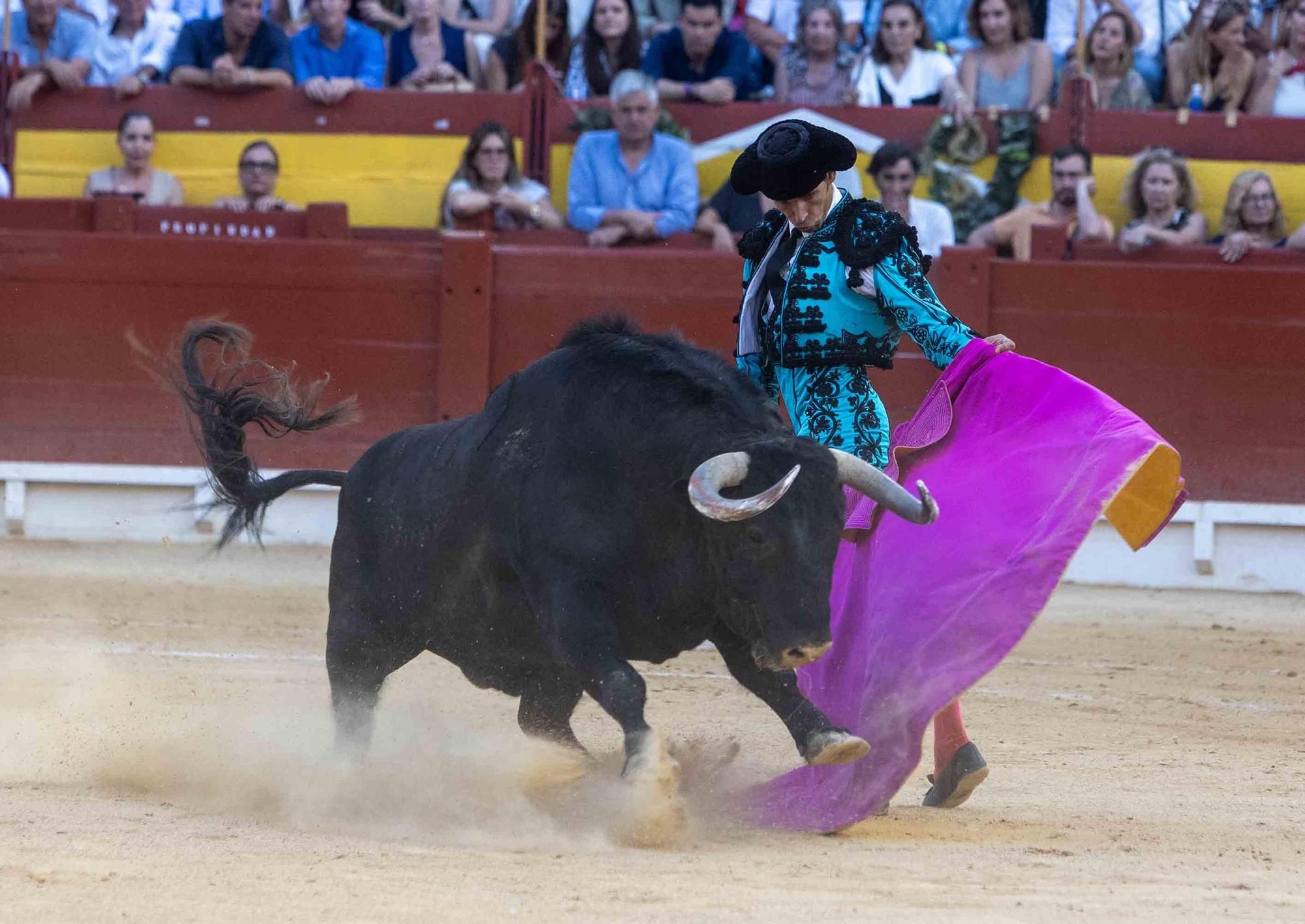 Manzanares culmina una de sus mejores tardes y sale a hombros en la Feria de Hogueras de Alicante 2025