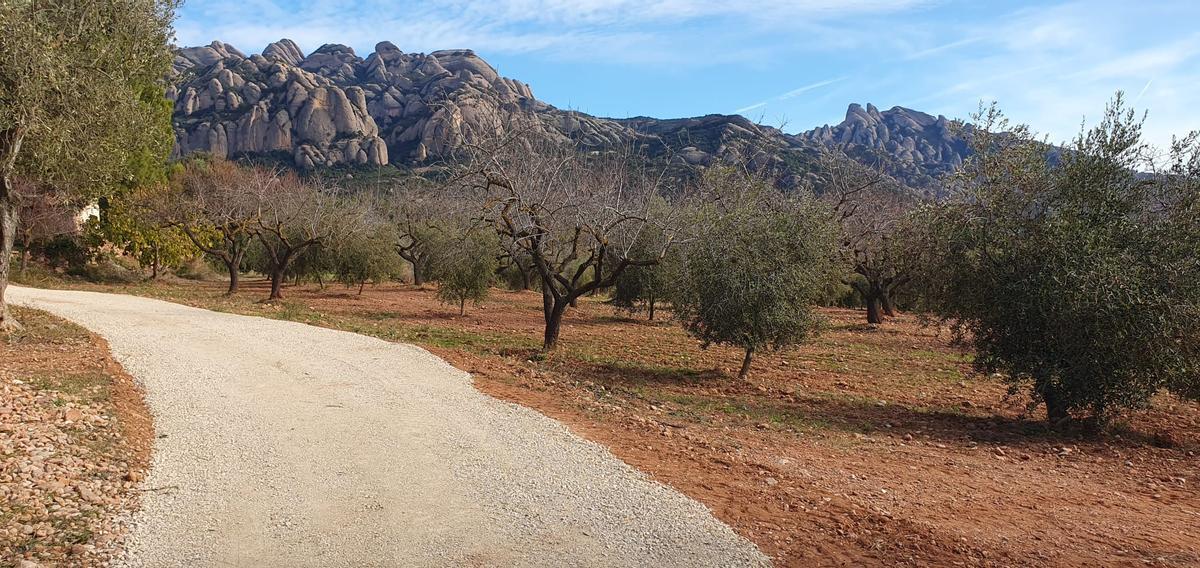 Un dels camins del terme municipal del Bruc, amb la muntanya de Montserrat al fons