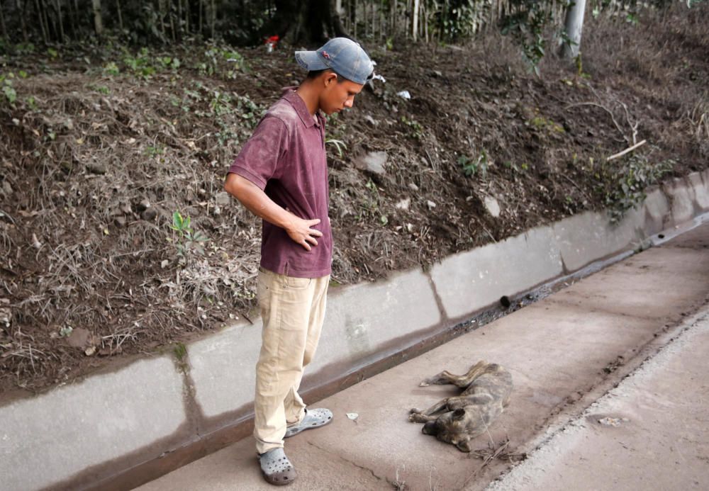 Erupció del Volcà de Foc a Guatemala