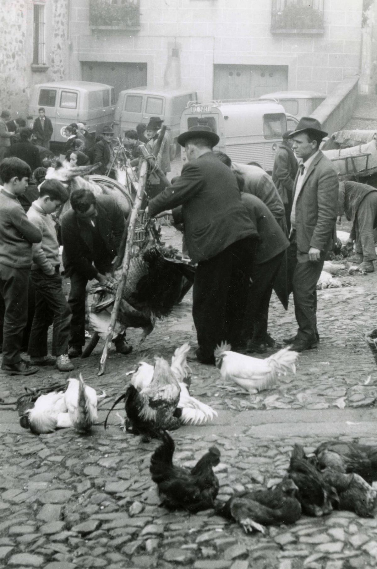 Fotogalería | Así era el mercado de abastos en 1931