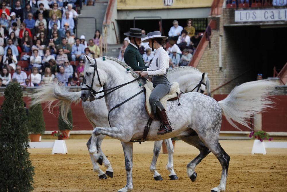 El mundo del caballo contra el cáncer