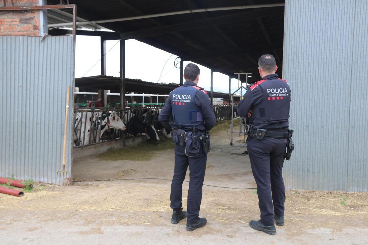 Dos Mossos en una granja de Parlavà en un dels patrullatges.
