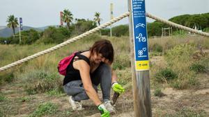Retiren 120 quilos de plantes invasores de les platges metropolitanes