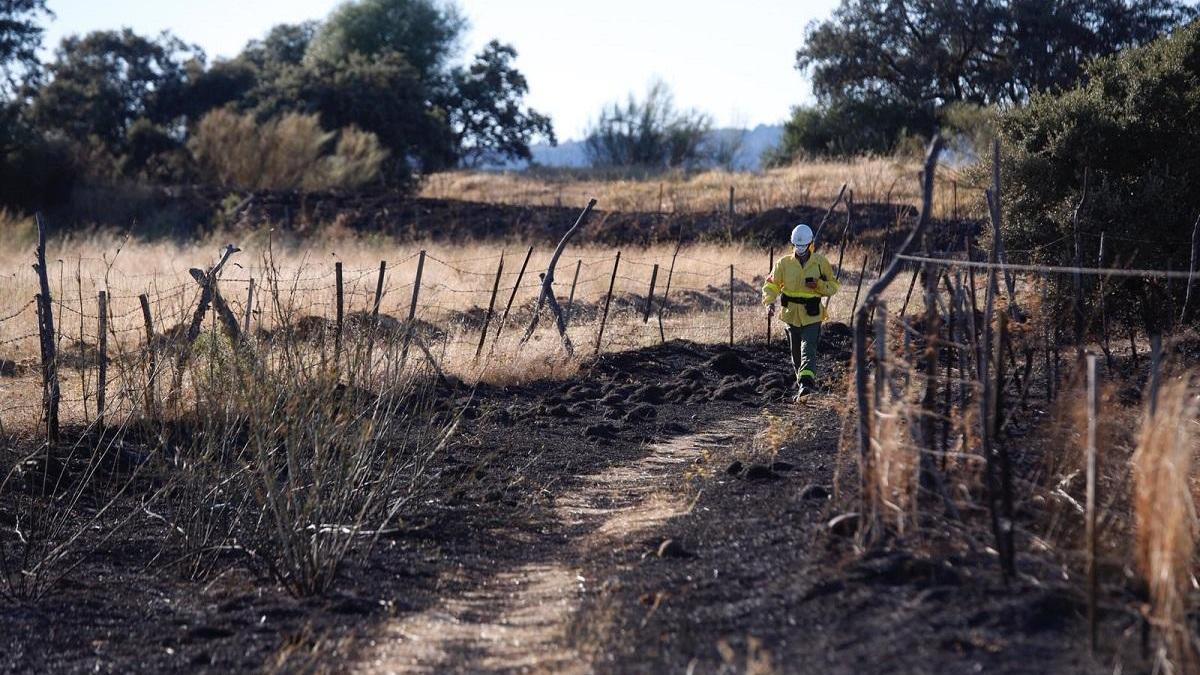 Un incendio calcina dos kilómetros de pastos bajos y encinas en la Campiñuela