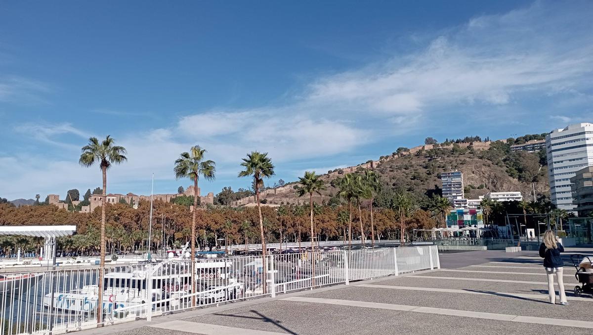 El Monte Gibralfaro, con importantes claros tras las talas, este mes desde el Muelle Uno.