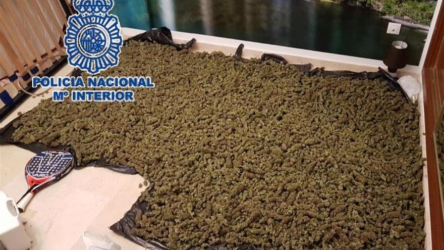 Desarticulada en Córdoba y Málaga una red que enviaba marihuana a Holanda