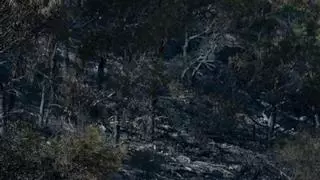 Controlado el incendio de Cabo Tiñoso tras calcinar 100 hectáreas