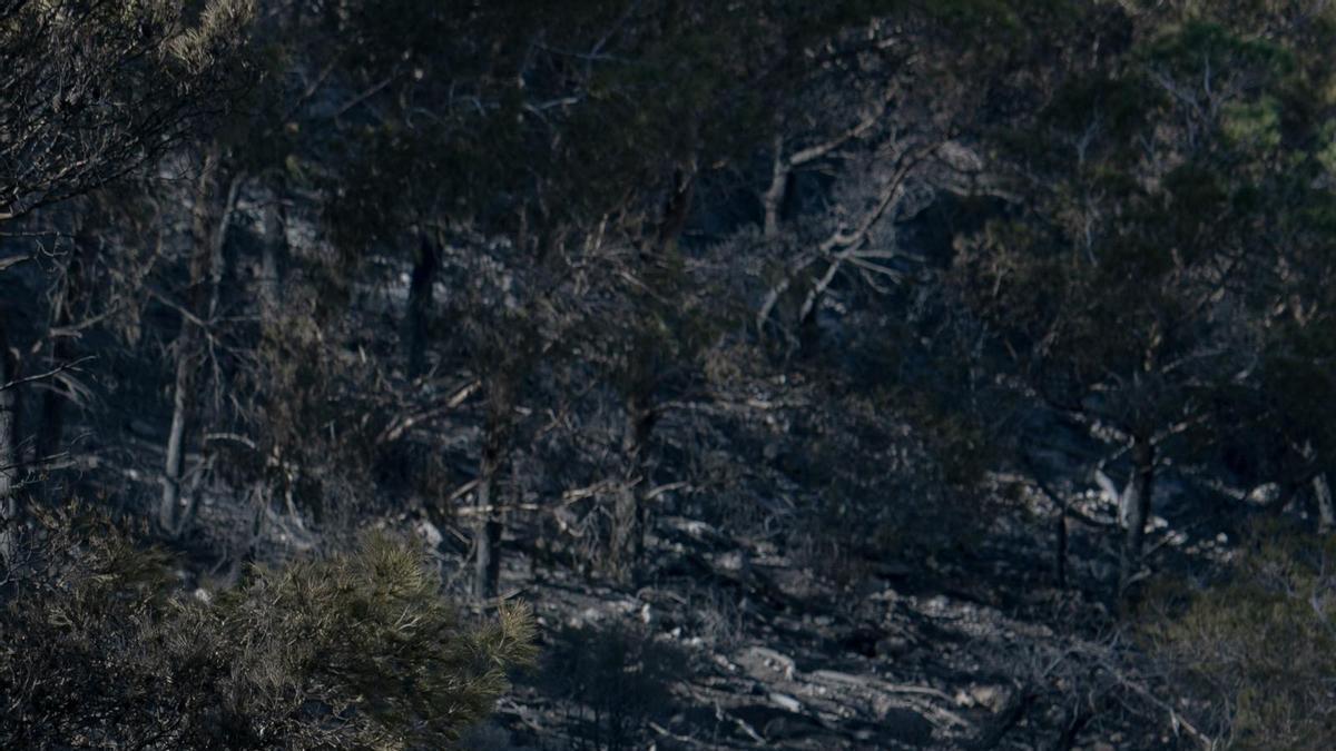 Controlado el incendio de Cabo Tiñoso tras calcinar 100 hectáreas