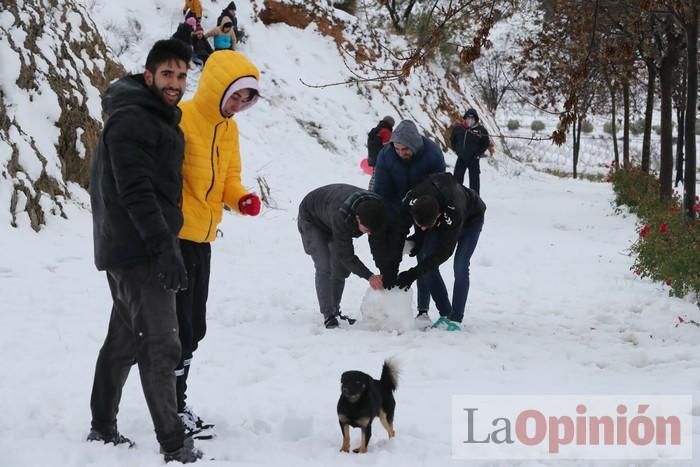 Nieve en Coy y Avilés (Lorca)