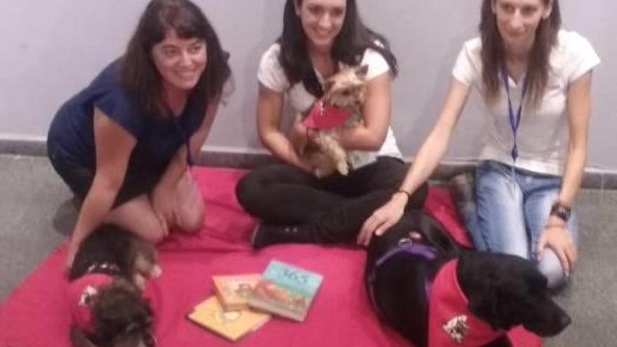 Perros adiestrados para ayudar a los niños a leer