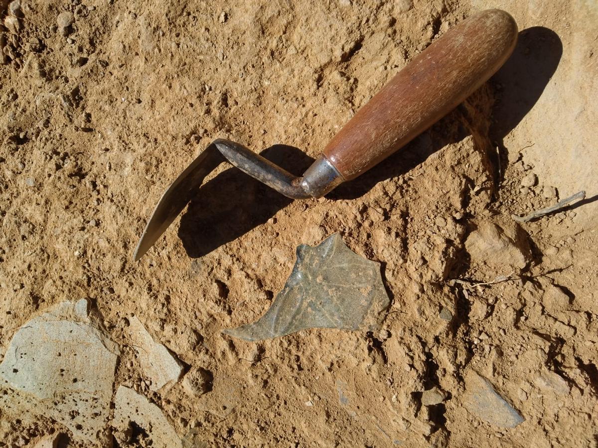 Excavación de Zamora Protohistórica en El Castrico de Rabanales.