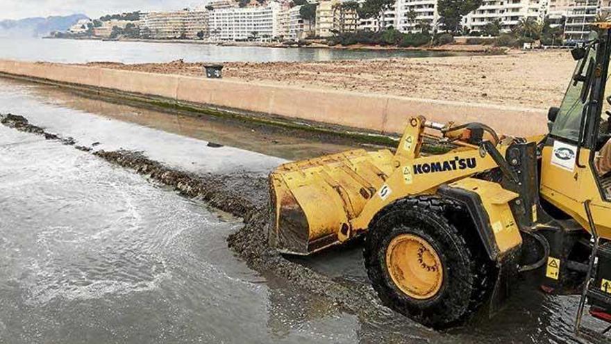 Limpian el torrente de Santa Ponça