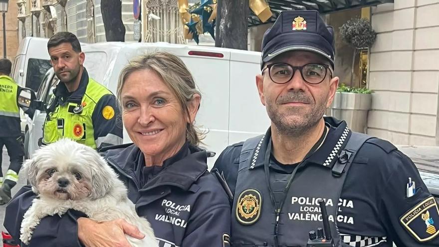 La Policía de València rescata a un perro que llevaba tres días, sin agua ni comida, encerrado en un coche