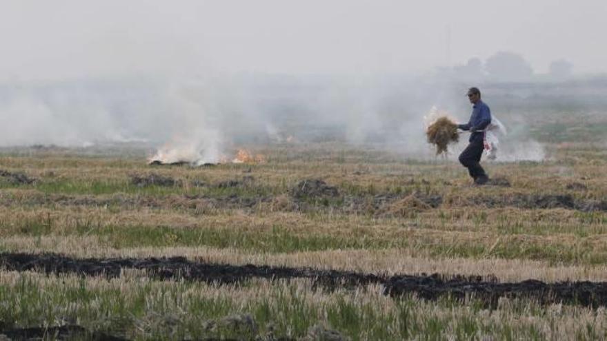 Un agricultor realiza una quema controlada de paja de arroz.
