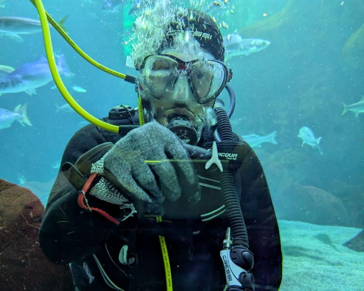 Un buzo sostiene un diente de tiburón