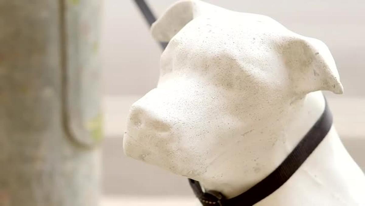 Barcelona instal·la estàtues de gossos abandonats per fomentar ladopció