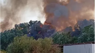 Extinguido el incendio que ha afectado a Alameda del Suizo y la ribera del Genil en Palma del Río