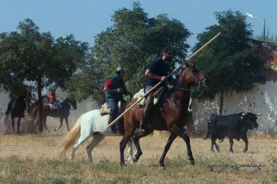 Villalpando despide los toros