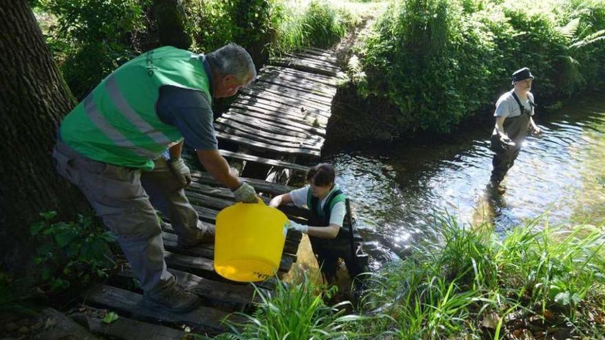 Tres voluntarios que se sumaron a la la jornada de limpieza de ayer. // Gustavo Santos