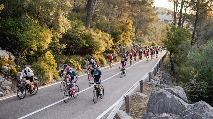 Ocho mil ciclistas ya recorren la isla en la Mallorca 312