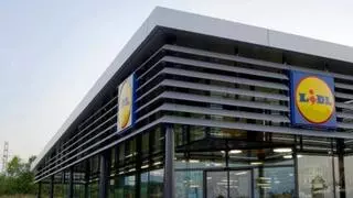 Lidl arrasa con esta estantería clásica: "Casi a la mitad de su precio"