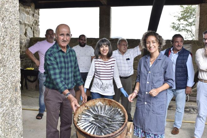 Las sardinas vuelven a salarse en Punta Moreiras