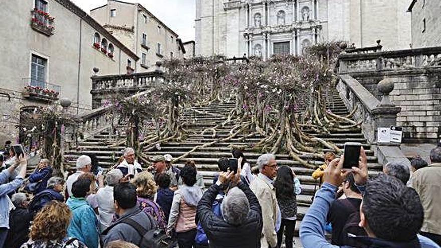 El muntatge floral a les escales de la Catedral en l&#039;edició de l&#039;any passat.