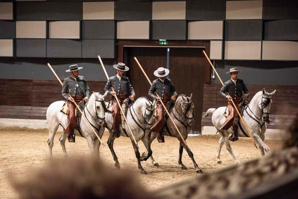 Así bailan los caballos cordobeses en Eslovenia