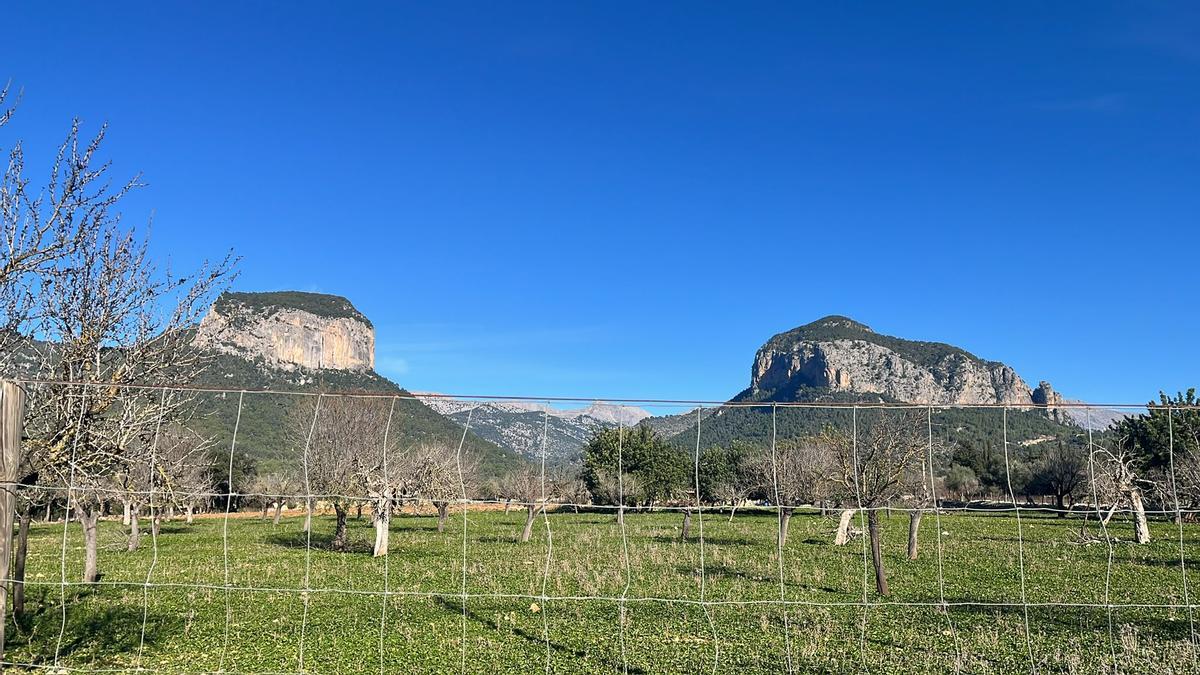 FOTOS | El Castell d'Alaró, en imágenes