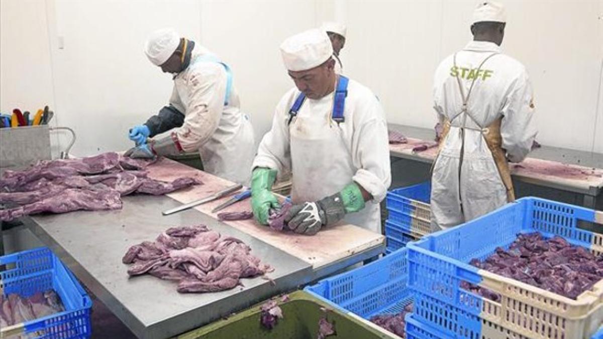 Operarios despiezan carne en un matadero.