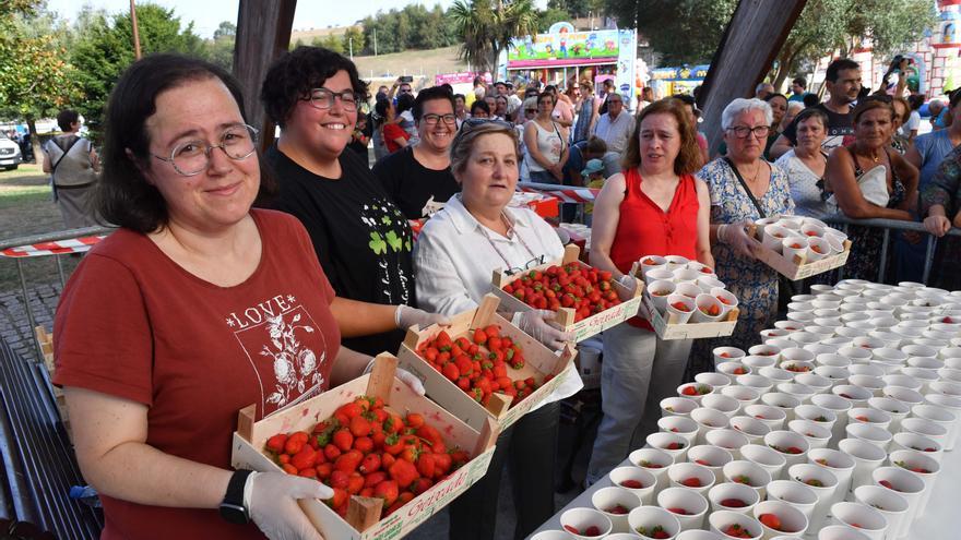 El barrio de Eirís devora 120 kilos de fresas