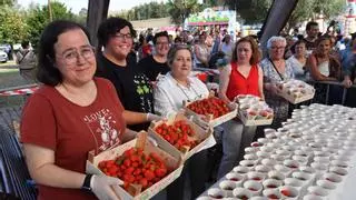 El barrio de Eirís devora 120 kilos de fresas