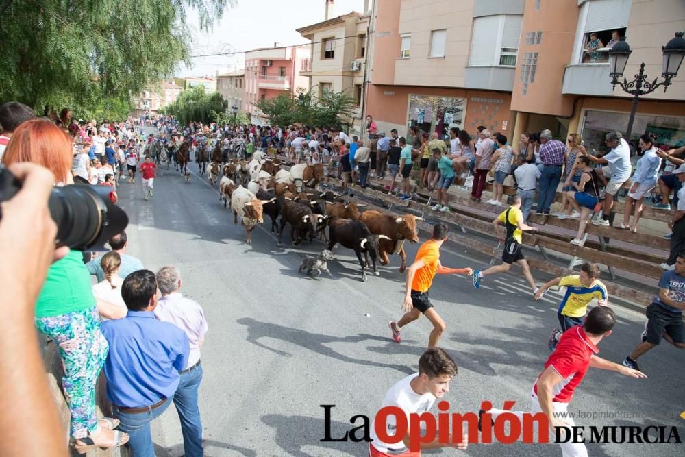 Séptimo encierro en Moratalla