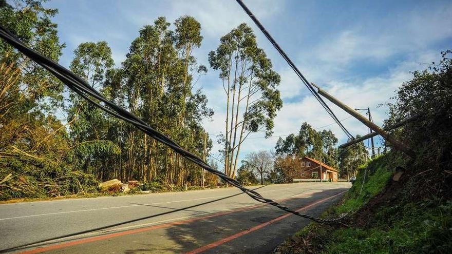 Cableado y postes eléctricos tirados en la subida a Cabeza de Boi y Armenteira. // Iñaki Abella