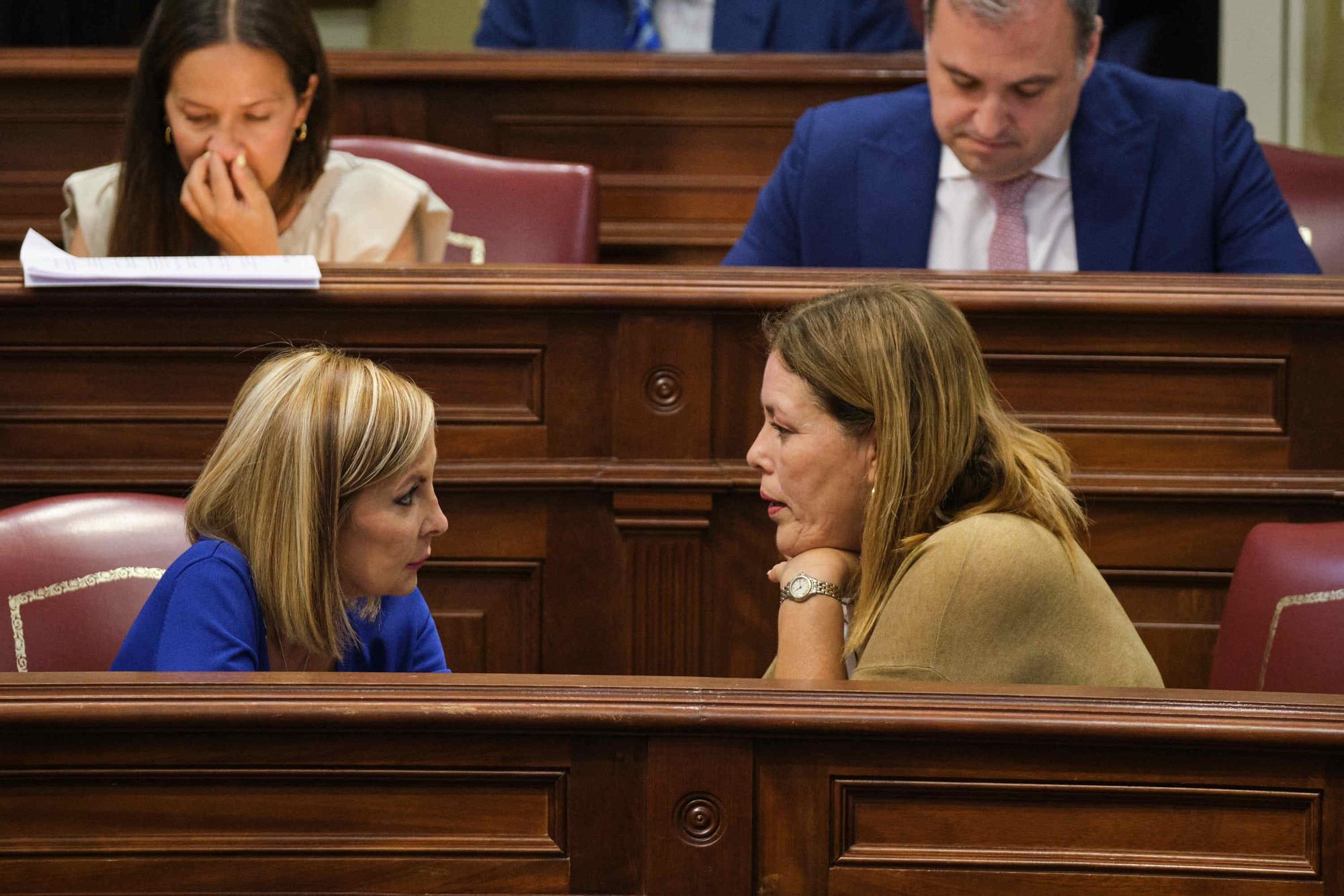 Pleno del Parlamento (12/07/22)