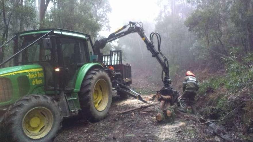 Operarios de la Comunidade de Montes en pleno trabajo.